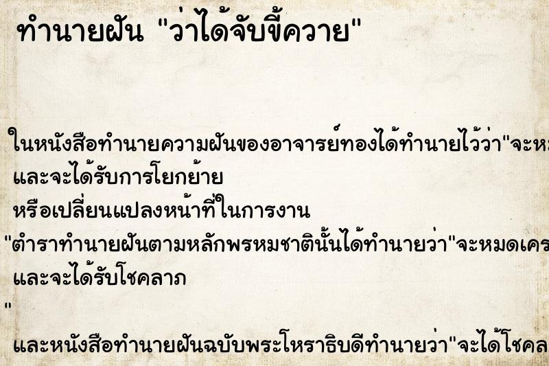 ทำนายฝันว่าได้จับขี้ควาย ทำนายฝันทำนายฝันว่าได้จับขี้ควาย