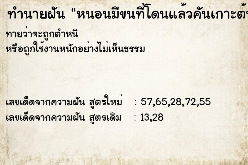 ทำนายฝันทำนายฝันหนอนมีขนที่โดนแล้วคันเกาะต้นแขนเรา