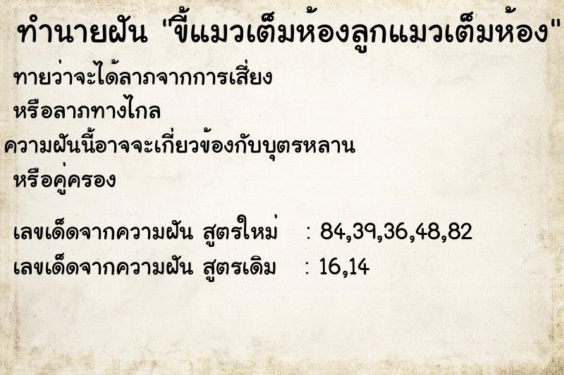 ทำนายฝันทำนายฝันขี้แมวเต็มห้องลูกแมวเต็มห้อง