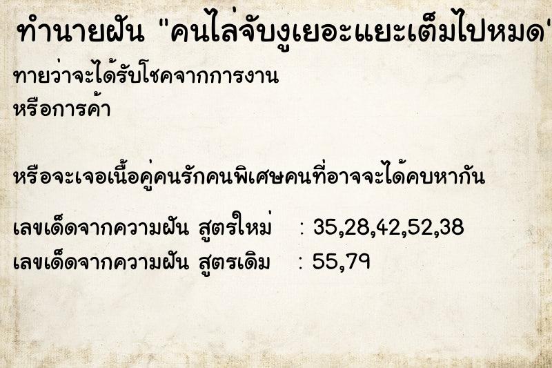 ทำนายฝันคนไล่จับงูเยอะแยะเต็มไปหมด ทำนายฝันทำนายฝันคนไล่จับงูเยอะแยะเต็มไปหมด