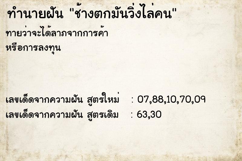 ทำนายฝันช้างตกมันวิ่งไล่คน ทำนายฝันทำนายฝันช้างตกมันวิ่งไล่คน