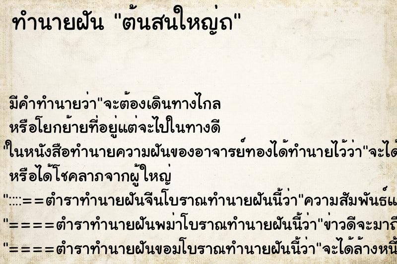 ทำนายฝันทำนายฝันต้นสนใหญ่ถ