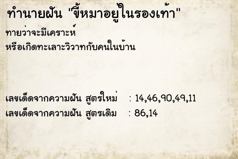 ทำนายฝันทำนายฝันขี้หมาอยู่ในรองเท้า