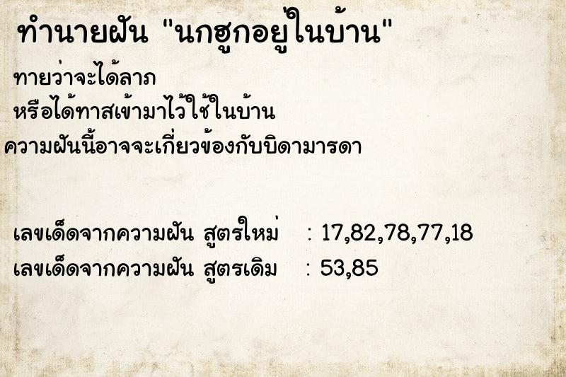 ทำนายฝันทำนายฝันนกฮูกอยู่ในบ้าน