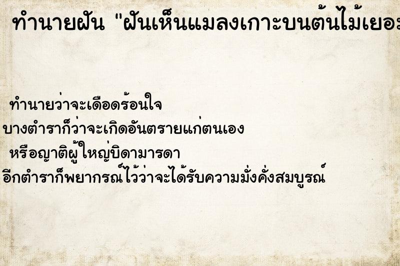 ทำนายฝัน ฝันเห็นแมลงเกาะบนต้นไม้เยอะมาก ทำนายฝัน ฝันเห็นแมลงเกาะบนต้นไม้เยอะมาก