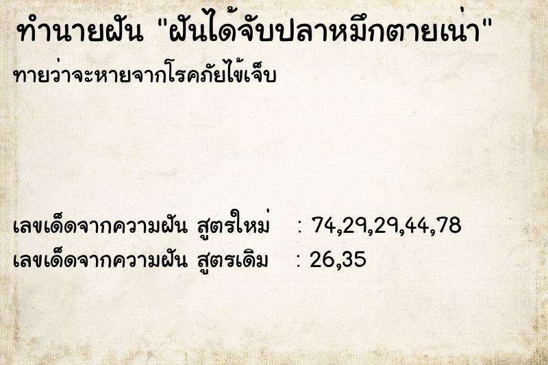 ทำนายฝันฝันได้จับปลาหมึกตายเน่า ทำนายฝันทำนายฝันฝันได้จับปลาหมึกตายเน่า