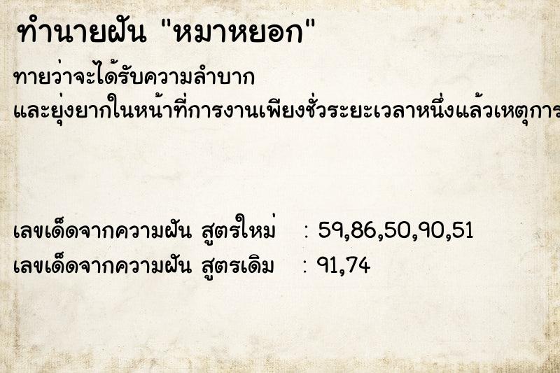 ทำนายฝัน หมาหยอก ทำนายฝัน หมาหยอก