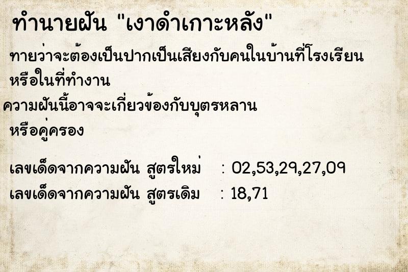 ทำนายฝันเงาดำเกาะหลัง ทำนายฝันทำนายฝันเงาดำเกาะหลัง