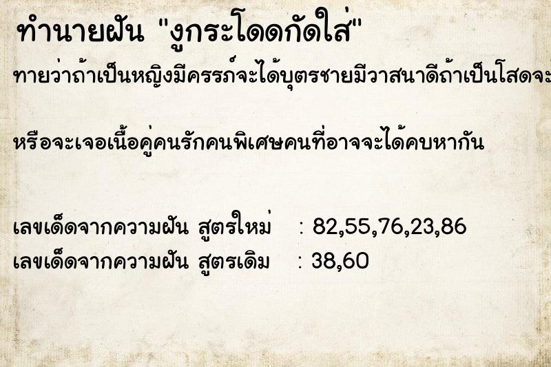 ทำนายฝันงูกระโดดกัดใส่ ทำนายฝันทำนายฝันงูกระโดดกัดใส่