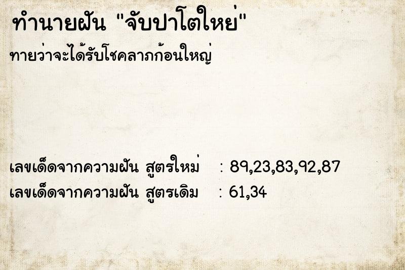 ทำนายฝันจับปาโตใหย่ ทำนายฝันทำนายฝันจับปาโตใหย่