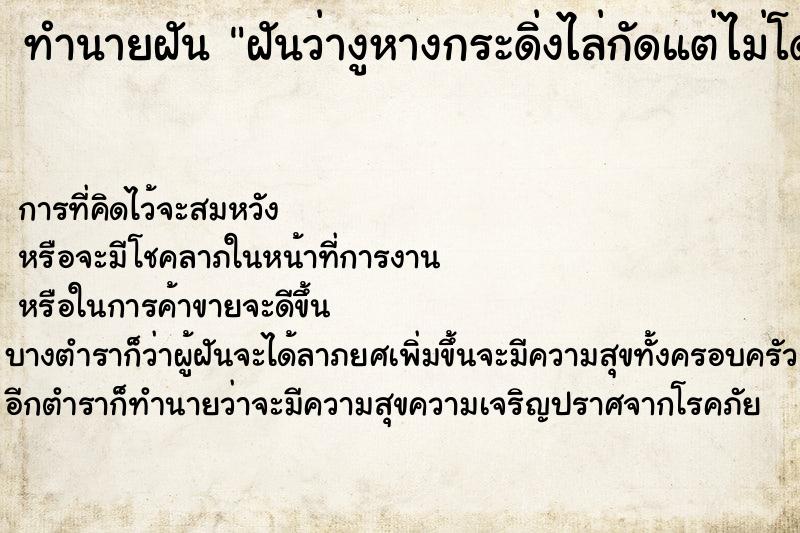 ทำนายฝัน ฝันว่างูหางกระดิ่งไล่กัดแต่ไม่โดนกัด ทำนายฝัน ฝันว่างูหางกระดิ่งไล่กัดแต่ไม่โดนกัด