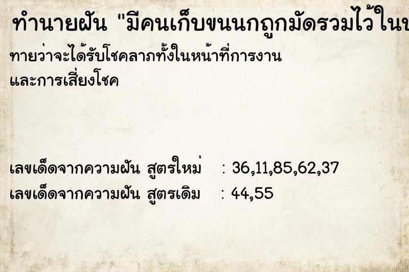 ทำนายฝันทำนายฝันมีคนเก็บขนนกถูกมัดรวมไว้ในบ้าน