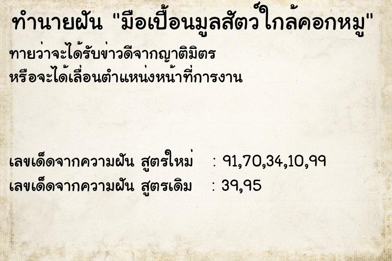 ทำนายฝัน มือเปื้อนมูลสัตว์ใกล้คอกหมู ทำนายฝัน มือเปื้อนมูลสัตว์ใกล้คอกหมู