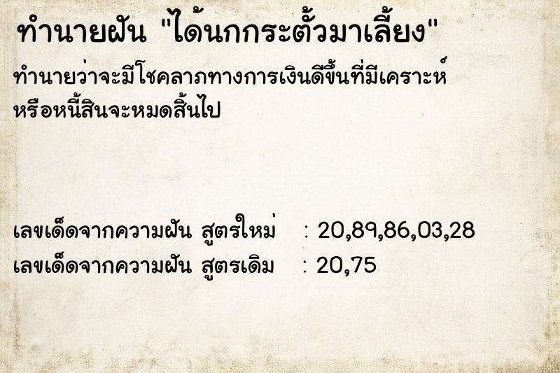 ทำนายฝัน ได้นกกระตั้วมาเลี้ยง ตำราโบราณ แม่นที่สุดในโลก