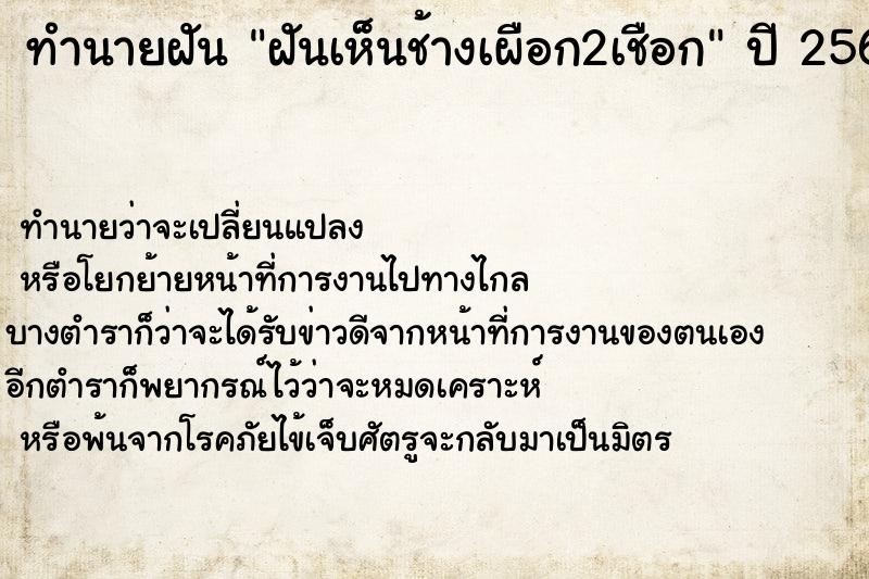 ทำนายฝันฝันเห็นช้างเผือก2เชือก ทำนายฝันทำนายฝันฝันเห็นช้างเผือก2เชือก
