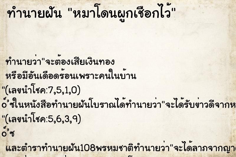 ทำนายฝัน หมาโดนผูกเชือกไว้ ทำนายฝัน หมาโดนผูกเชือกไว้