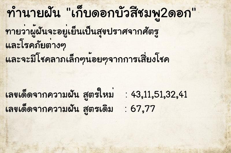 ทำนายฝันทำนายฝันเก็บดอกบัวสีชมพู2ดอก
