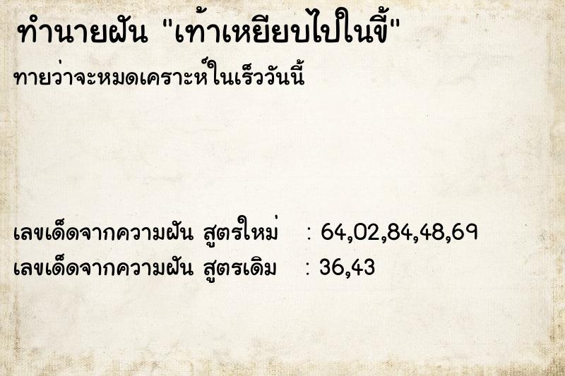ทำนายฝันทำนายฝันเท้าเหยียบไปในขี้