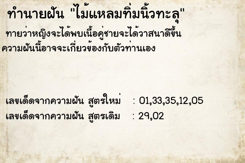 ทำนายฝัน ไม้แหลมทิ่มนิ้วทะลุแม่นๆ ฟรี ด้วยตำราหนังสือทำนายฝันโบราณ ทำนายฝันไม้แหลมทิ่มนิ้วทะลุ