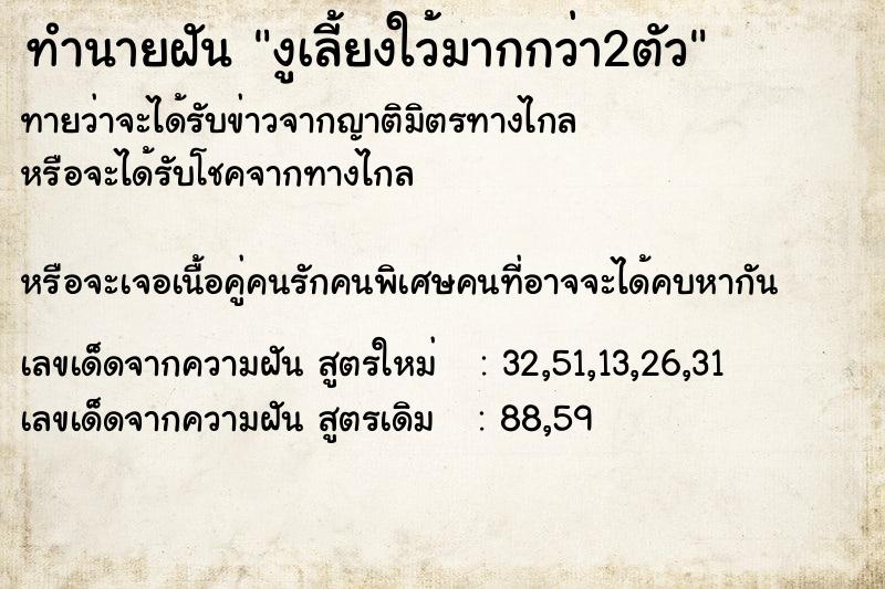 ทำนายฝันงูเลี้ยงใว้มากกว่า2ตัว ทำนายฝันทำนายฝันงูเลี้ยงใว้มากกว่า2ตัว