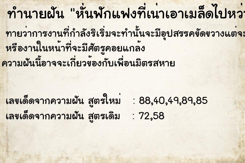 ทำนายฝันหั่นฟักแฟงที่เน่าเอาเมล็ดไปหว่านลงดิน ทำนายฝันทำนายฝันหั่นฟักแฟงที่เน่าเอาเมล็ดไปหว่านลงดิน