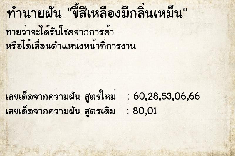 ทำนายฝันทำนายฝันขี้สีเหลืองมีกลิ่นเหม็น