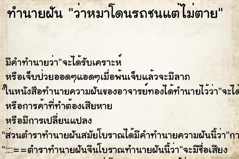 ทำนายฝัน ว่าหมาโดนรถชนแต่ไม่ตาย ทำนายฝัน ว่าหมาโดนรถชนแต่ไม่ตาย