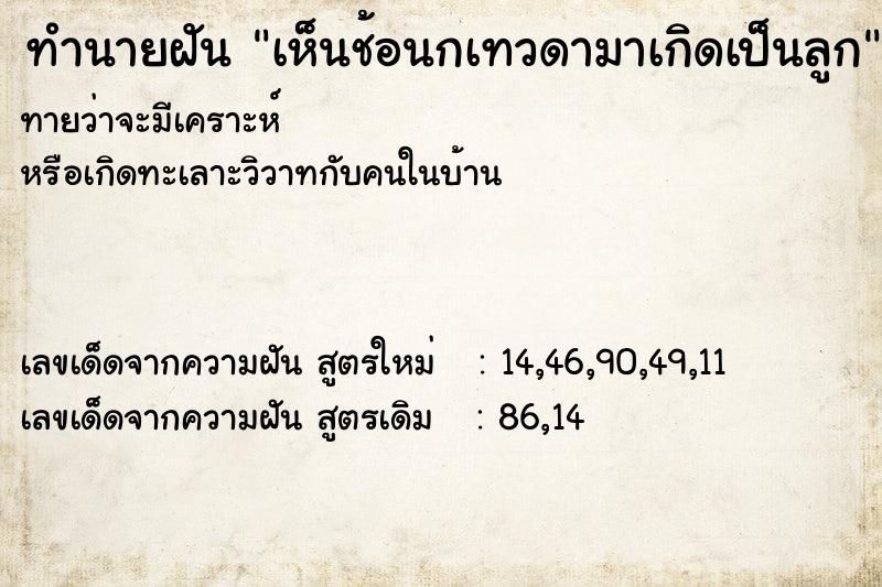ทำนายฝันเห็นช้อนกเทวดามาเกิดเป็นลูก ทำนายฝันทำนายฝันเห็นช้อนกเทวดามาเกิดเป็นลูก