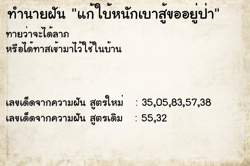 ทำนายฝันแก้ใบ้หนักเบาสู้ขออยู่ป่า ทำนายฝันทำนายฝันแก้ใบ้หนักเบาสู้ขออยู่ป่า