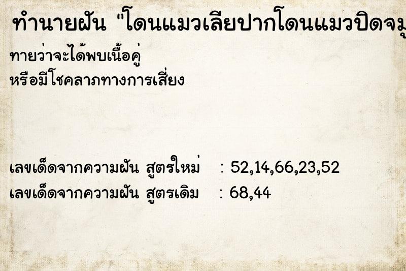 ทำนายฝันโดนแมวเลียปากโดนแมวปิดจมูก ทำนายฝันทำนายฝันโดนแมวเลียปากโดนแมวปิดจมูก