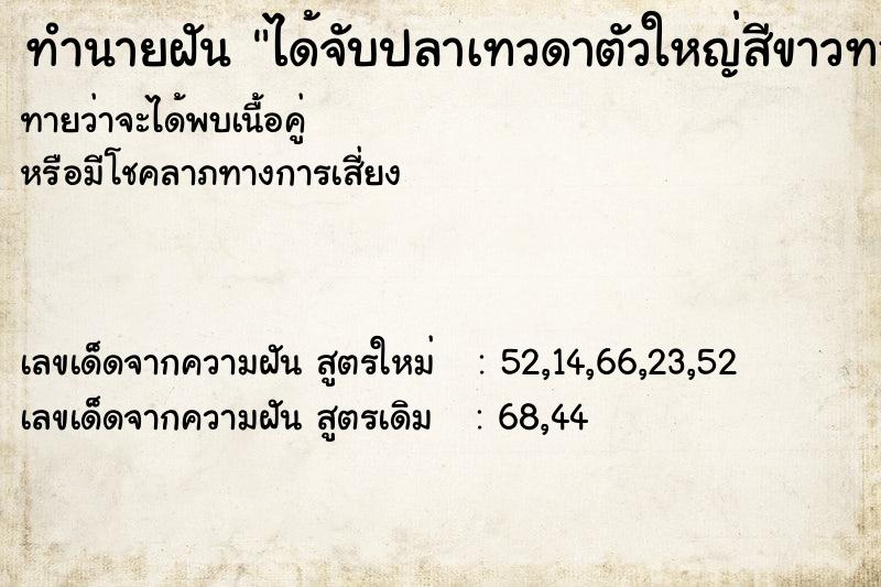 ทำนายฝันทำนายฝันได้จับปลาเทวดาตัวใหญ่สีขาวทอง