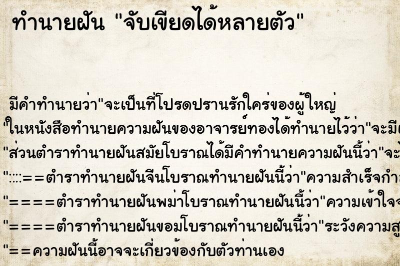 ทำนายฝัน จับเขียดได้หลายตัว ทำนายฝัน จับเขียดได้หลายตัว