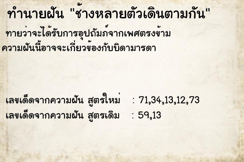 ทำนายฝัน ช้างหลายตัวเดินตามกัน