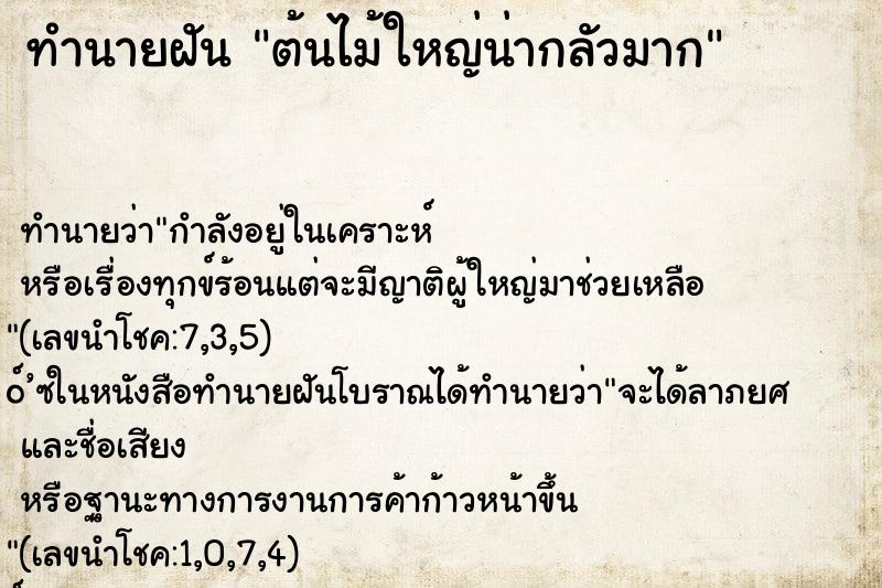 ทำนายฝัน ต้นไม้ใหญ่น่ากลัวมาก ทำนายฝัน ต้นไม้ใหญ่น่ากลัวมาก