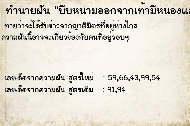 ทำนายฝันบีบหนามออกจากเท้ามีหนองและหนอนออกมาด้วย ทำนายฝันทำนายฝันบีบหนามออกจากเท้ามีหนองและหนอนออกมาด้วย