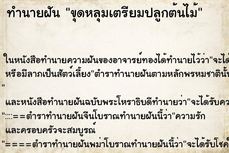 ทำนายฝัน ขุดหลุมเตรียมปลูกต้นไม้ ตำราโบราณ แม่นที่สุดในโลก