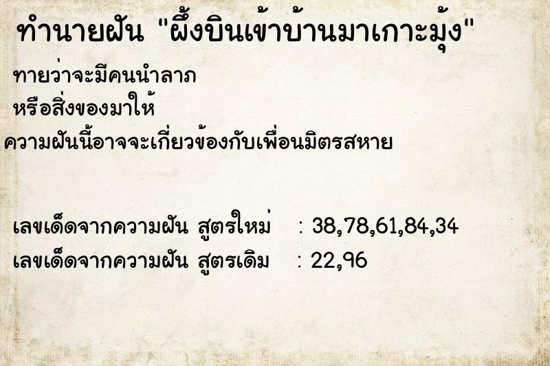 ทำนายฝันผึ้งบินเข้าบ้านมาเกาะมุ้ง ทำนายฝันทำนายฝันผึ้งบินเข้าบ้านมาเกาะมุ้ง