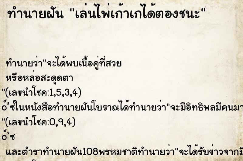 ทำนายฝันเล่นไพ่เก้าเกได้ตองชนะ ทำนายฝันทำนายฝันเล่นไพ่เก้าเกได้ตองชนะ