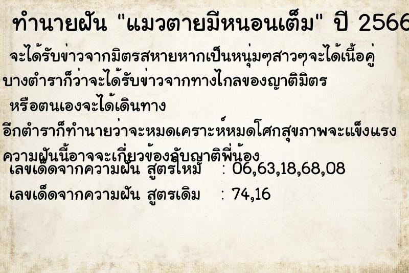 ทำนายฝัน แมวตายมีหนอนเต็ม ทำนายฝัน แมวตายมีหนอนเต็ม