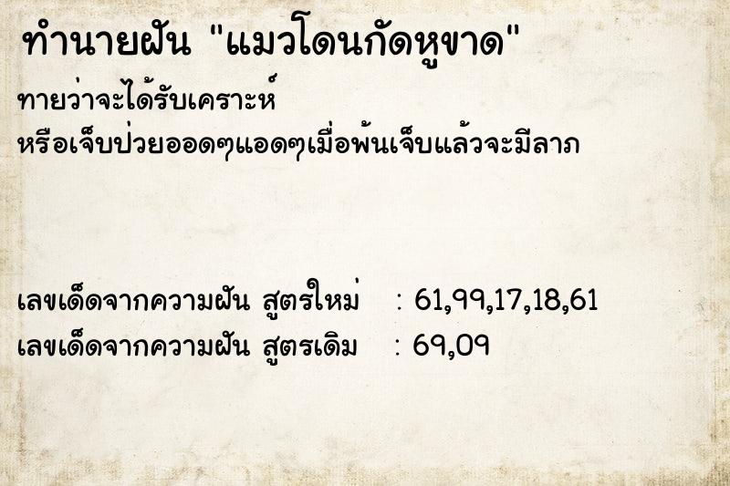 ทำนายฝันทำนายฝันแมวโดนกัดหูขาด
