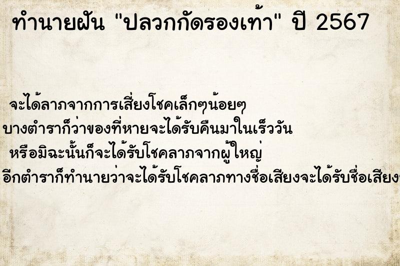 ทำนายฝัน ปลวกกัดรองเท้า ทำนายฝัน ปลวกกัดรองเท้า