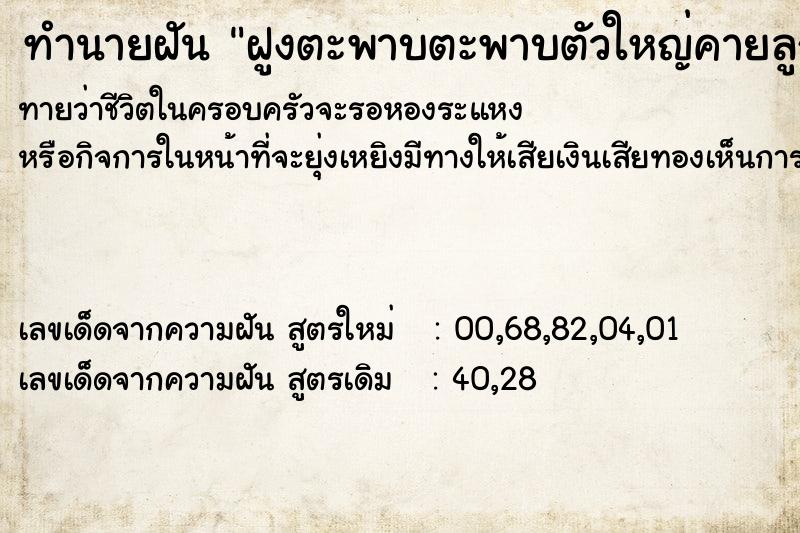 ทำนายฝันฝูงตะพาบตะพาบตัวใหญ่คายลูกแก้วให้กับมือ ทำนายฝันทำนายฝันฝูงตะพาบตะพาบตัวใหญ่คายลูกแก้วให้กับมือ