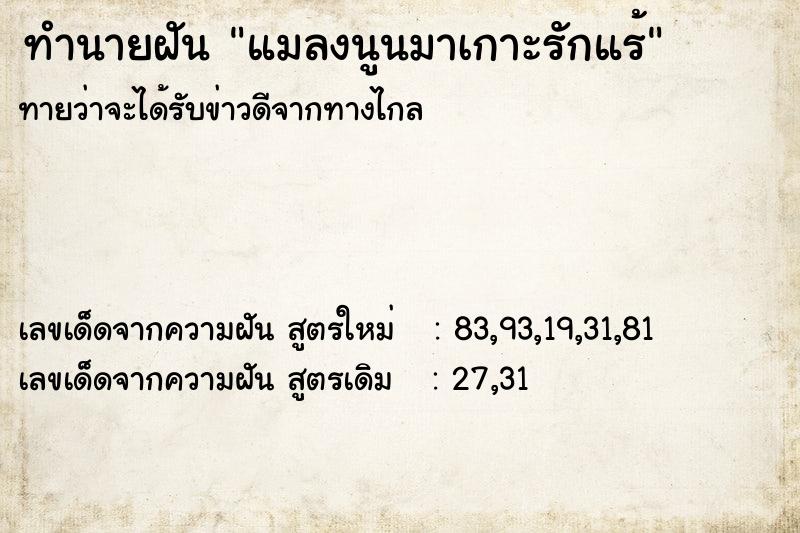 ทำนายฝันทำนายฝันแมลงนูนมาเกาะรักแร้