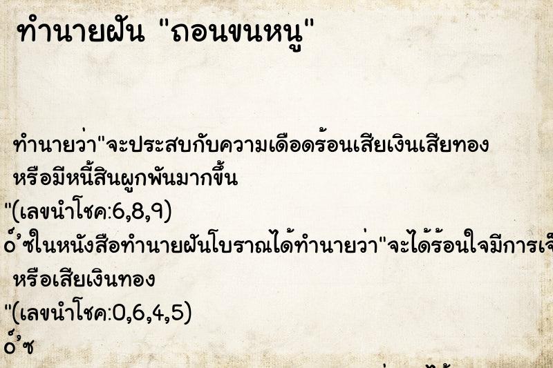 ทำนายฝันถอนขนหนู ทำนายฝันทำนายฝันถอนขนหนู