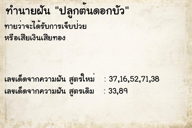 ทำนายฝัน ปลูกต้นดอกบัว ตำราโบราณ แม่นที่สุดในโลก