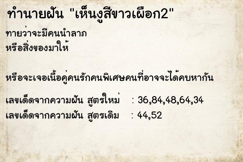 ทำนายฝันเห็นงูสีขาวเผือก2 ทำนายฝันทำนายฝันเห็นงูสีขาวเผือก2