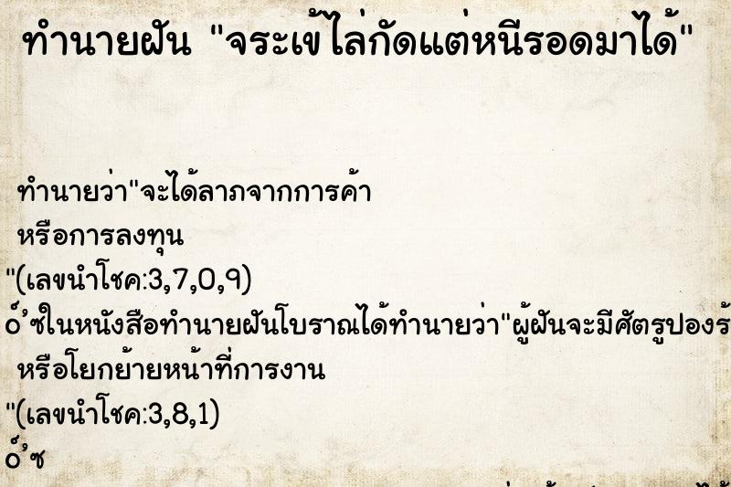 ทำนายฝันจระเข้ไล่กัดแต่หนีรอดมาได้ ทำนายฝันทำนายฝันจระเข้ไล่กัดแต่หนีรอดมาได้