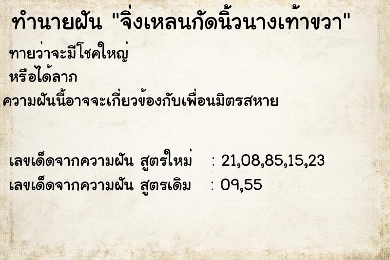 ทำนายฝันจิ่งเหลนกัดนิ้วนางเท้าขวา ทำนายฝันทำนายฝันจิ่งเหลนกัดนิ้วนางเท้าขวา