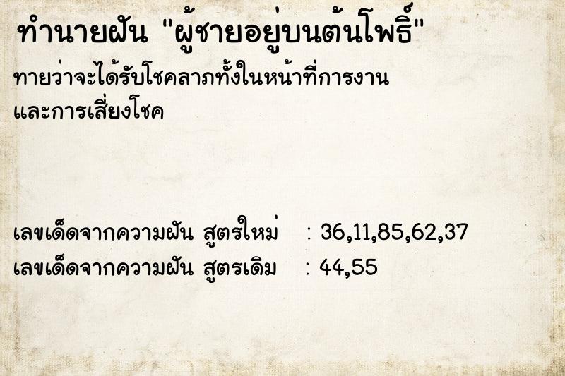 ทำนายฝันทำนายฝันผู้ชายอยู่บนต้นโพธิ์