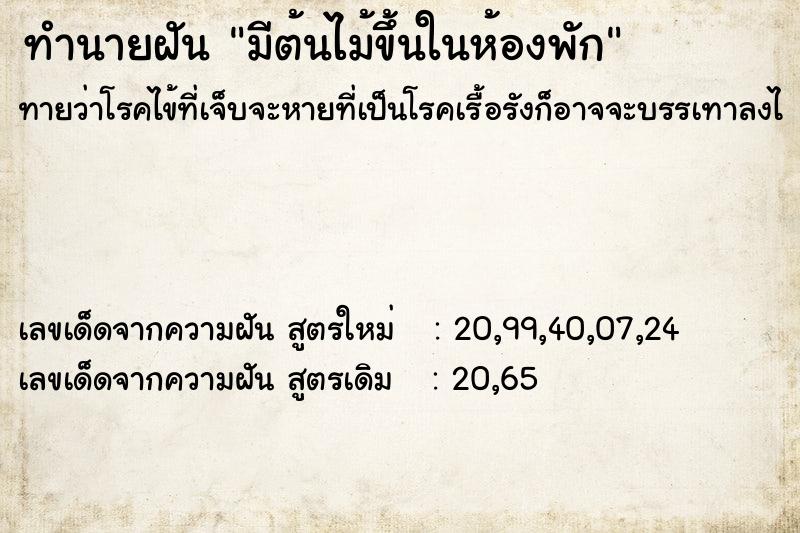ทำนายฝัน มีต้นไม้ขึ้นในห้องพัก ทำนายฝัน มีต้นไม้ขึ้นในห้องพัก